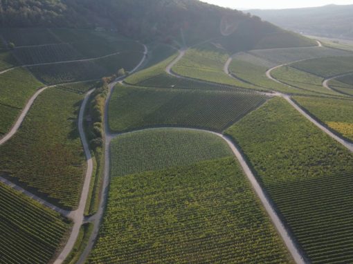 Fränkisches Weinland